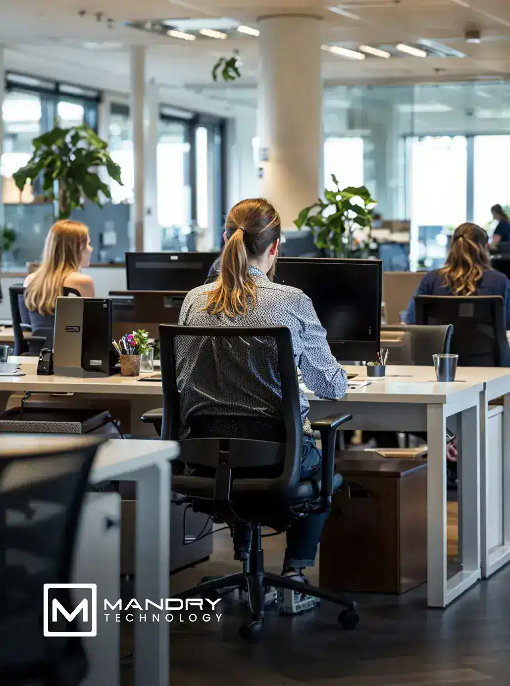 IT Support in San Antonio